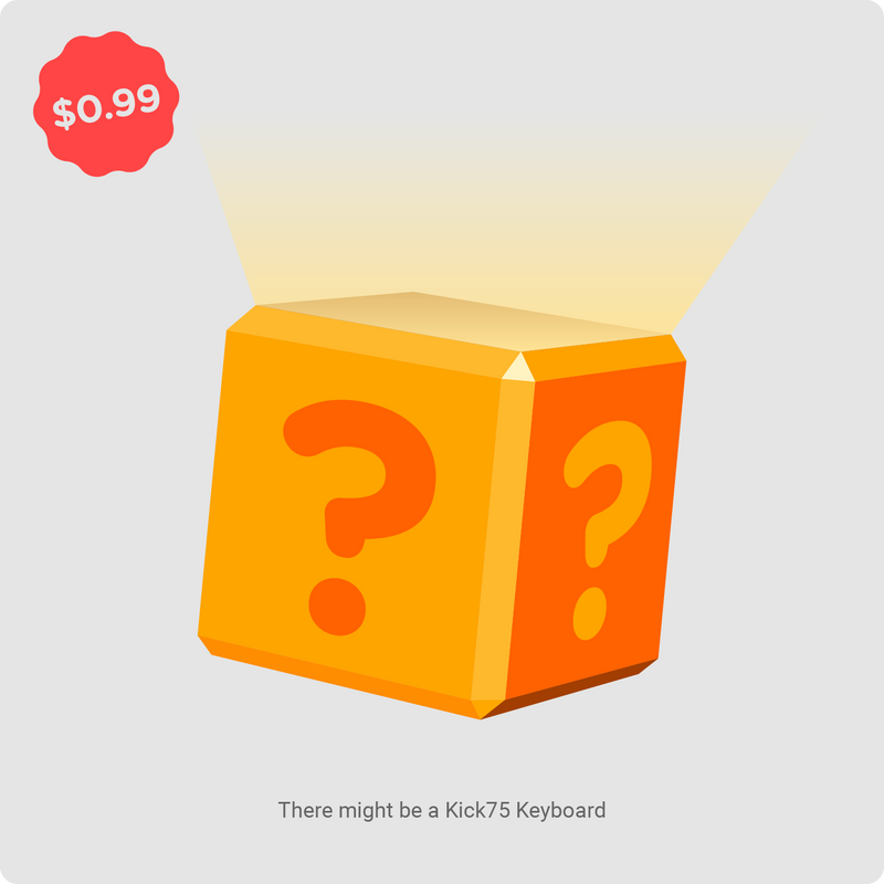 Black Friday Mystery Box - $0.99